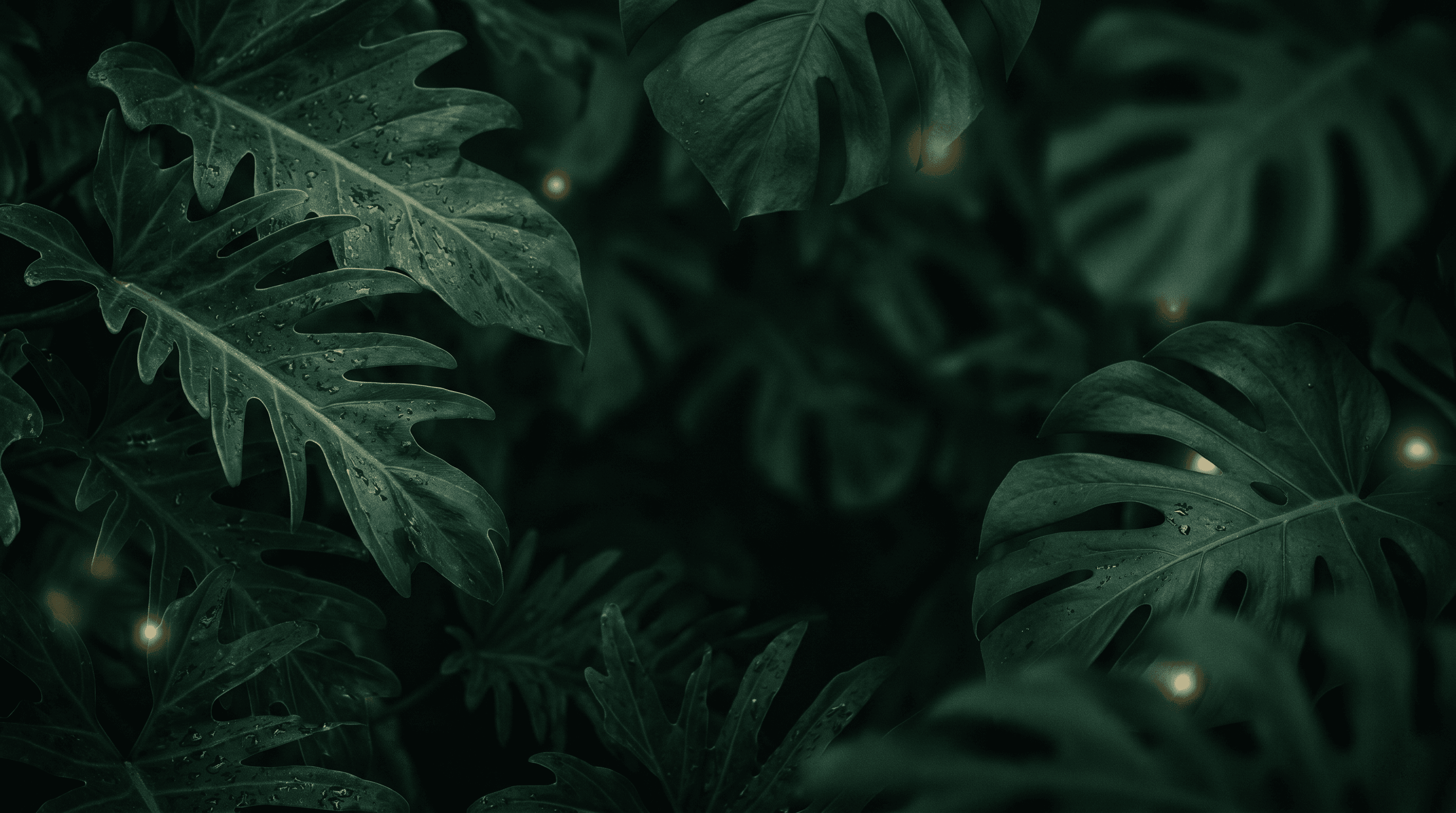 Premium hair care background texture